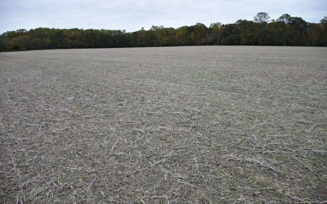 Don’t Get Caught with Your Plants Down!