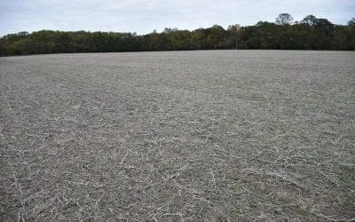 Don’t Get Caught with Your Plants Down!