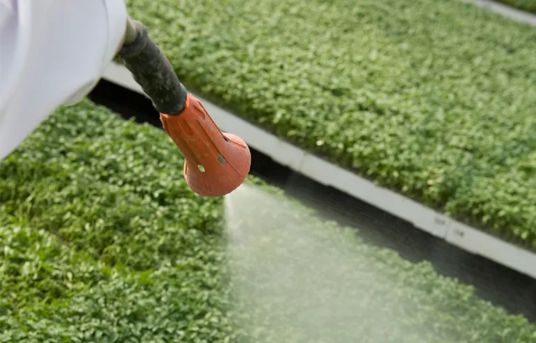 Creating a happier, healthier and more productive work force with the WPS