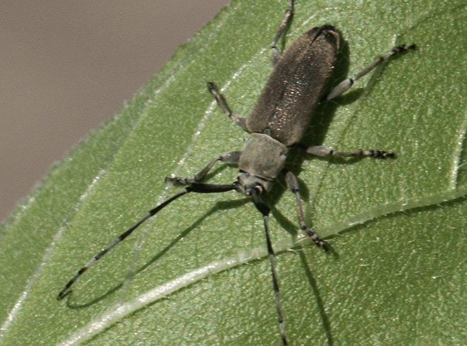 Prevent and Protect – best practices for controlling pests